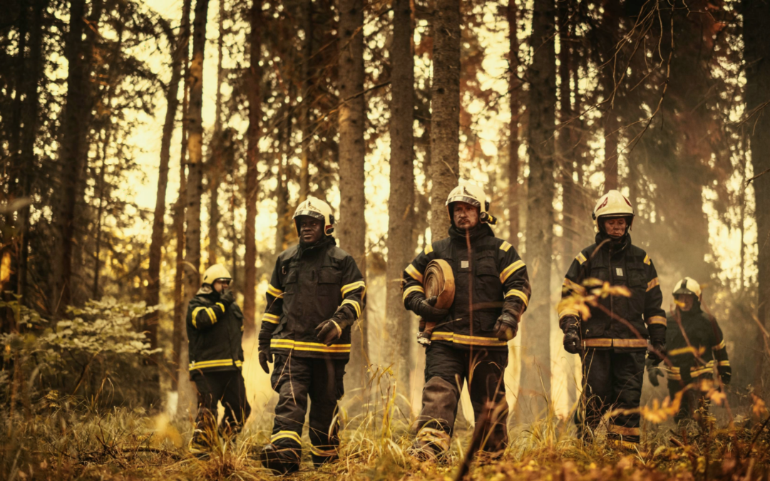 Firefighters in full turnout gear walk through a wooded wildfire scene carrying equipment during active response operations.